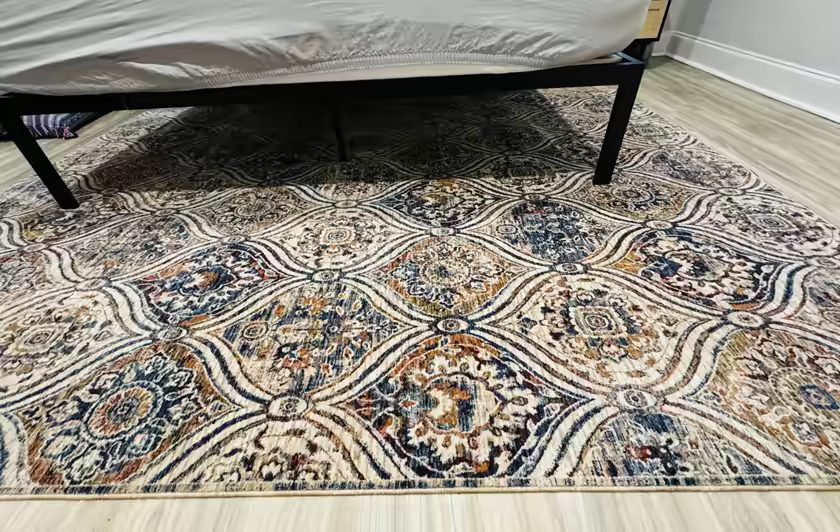 Colorful patterned area rug refreshed by Pro-Techs