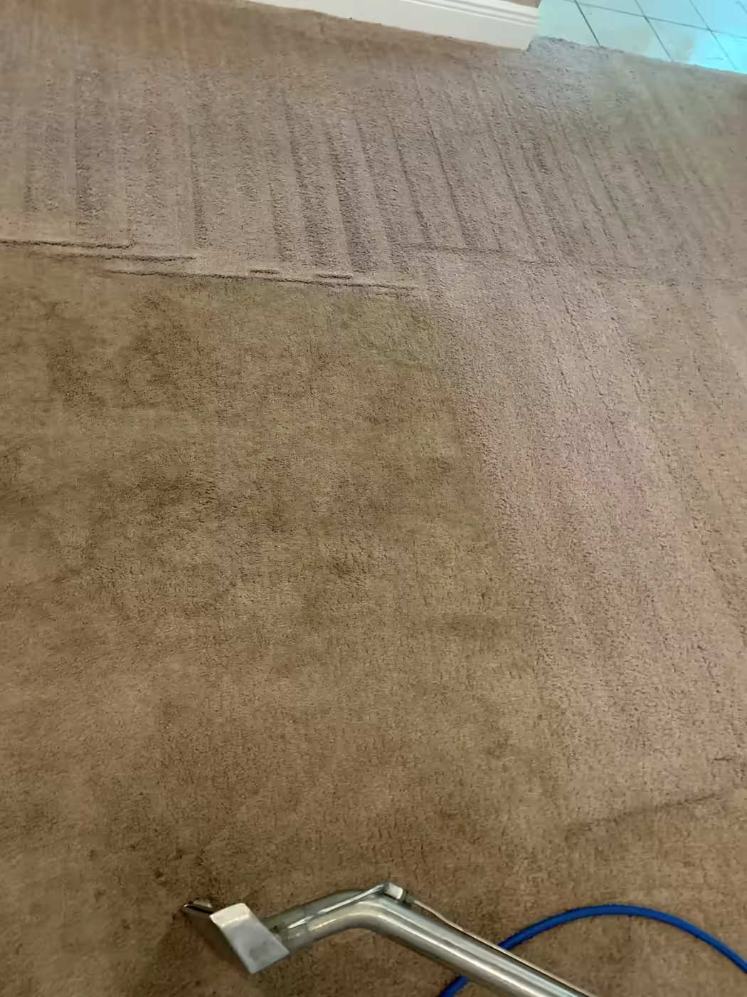 Carpet cleaning in progress: cleaned and soiled areas shown side-by-side in a single photograph.