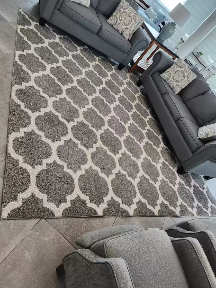 Clean area rug and furnished living room in a Pro-Techs customer home